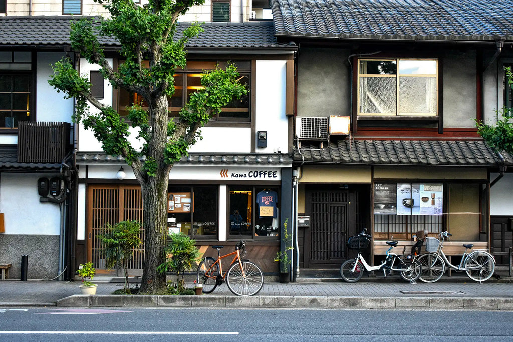 Splendeurs du Japon : De Tokyo à Osaka