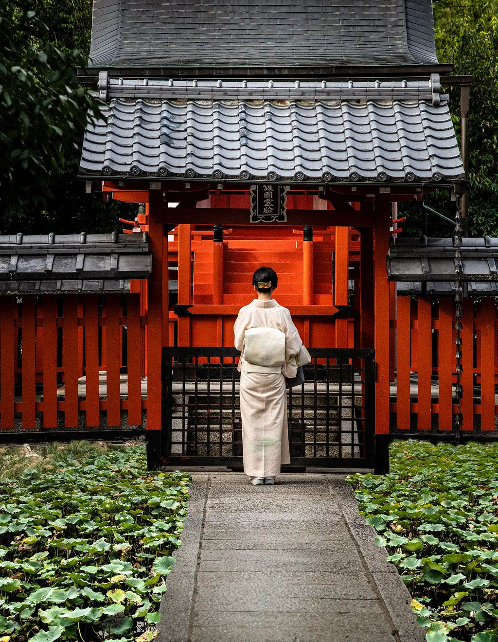 Splendeurs du Japon : De Tokyo à Osaka