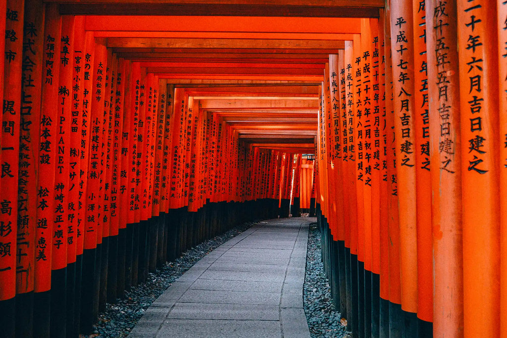 Splendeurs du Japon : De Tokyo à Osaka