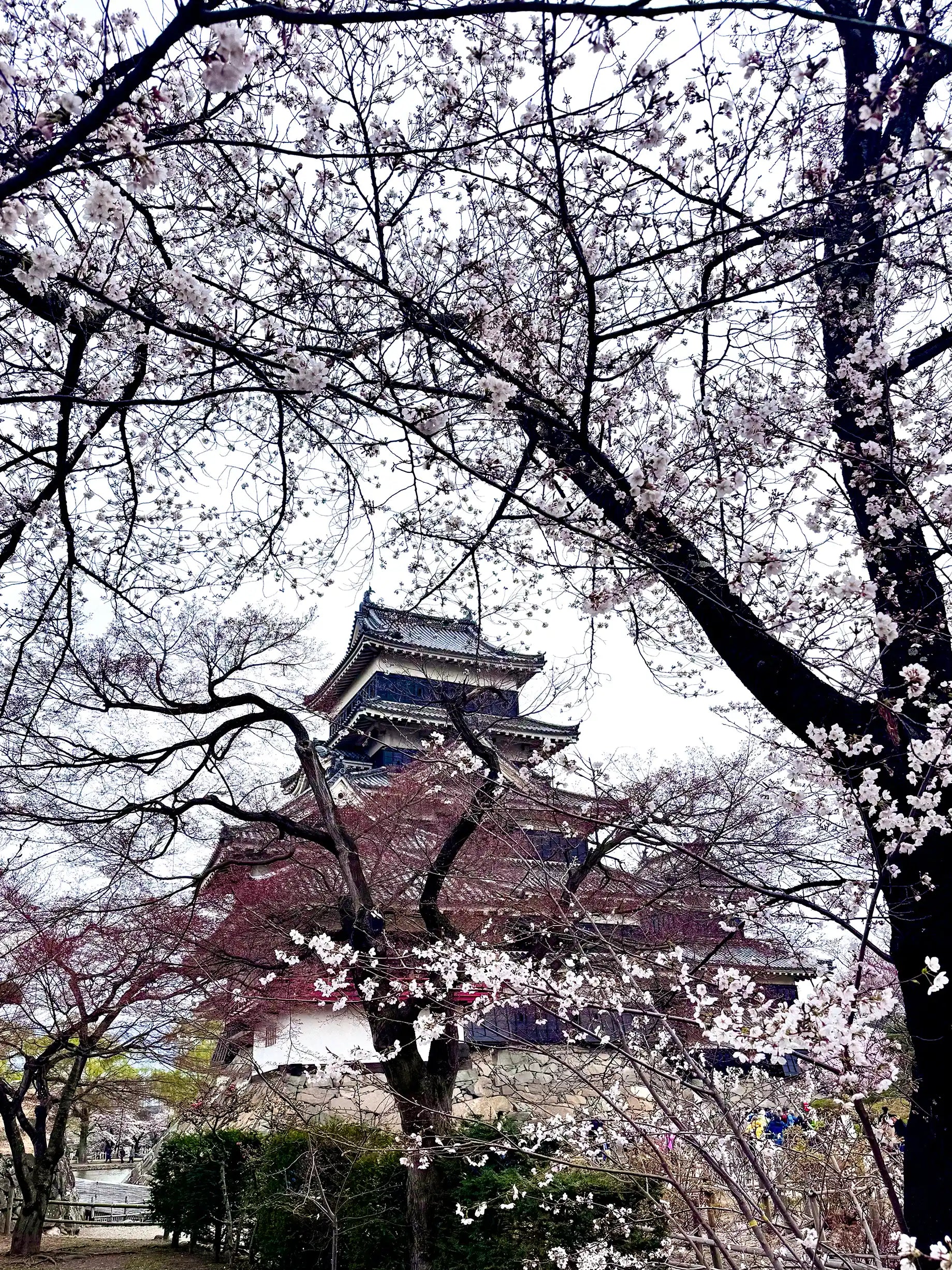 Splendeurs du Japon : De Tokyo à Osaka