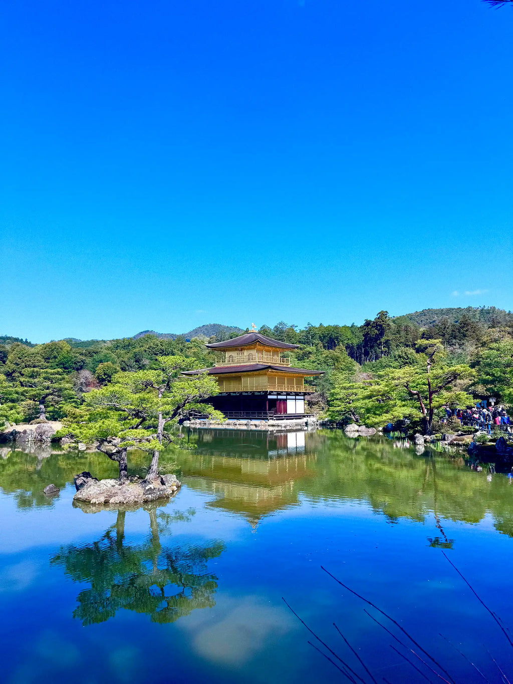 Splendeurs du Japon : De Tokyo à Osaka