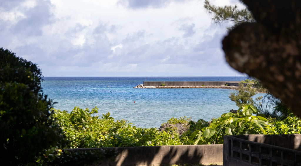 Retraite dans les îles Yaeyama 19 mai au 2 juin 2027
