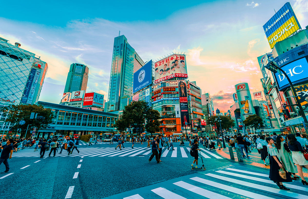 Dernière immersion à Tokyo